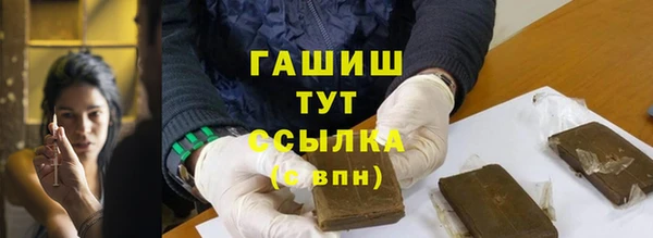 сатива Инсар
