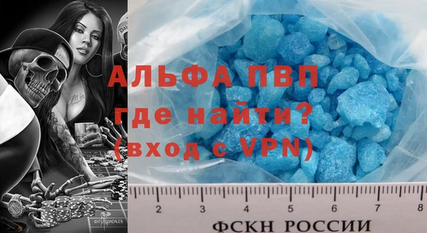 сатива Инсар