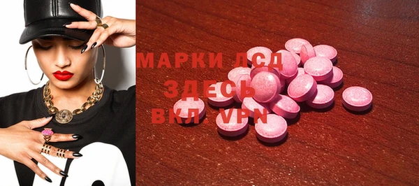 сатива Инсар