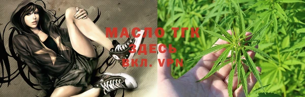 сатива Инсар