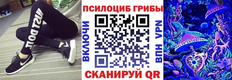 Купить закладки  Щигры  Псилоцибиновые грибы Cubensis 